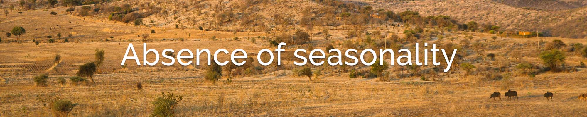 seasonality africa