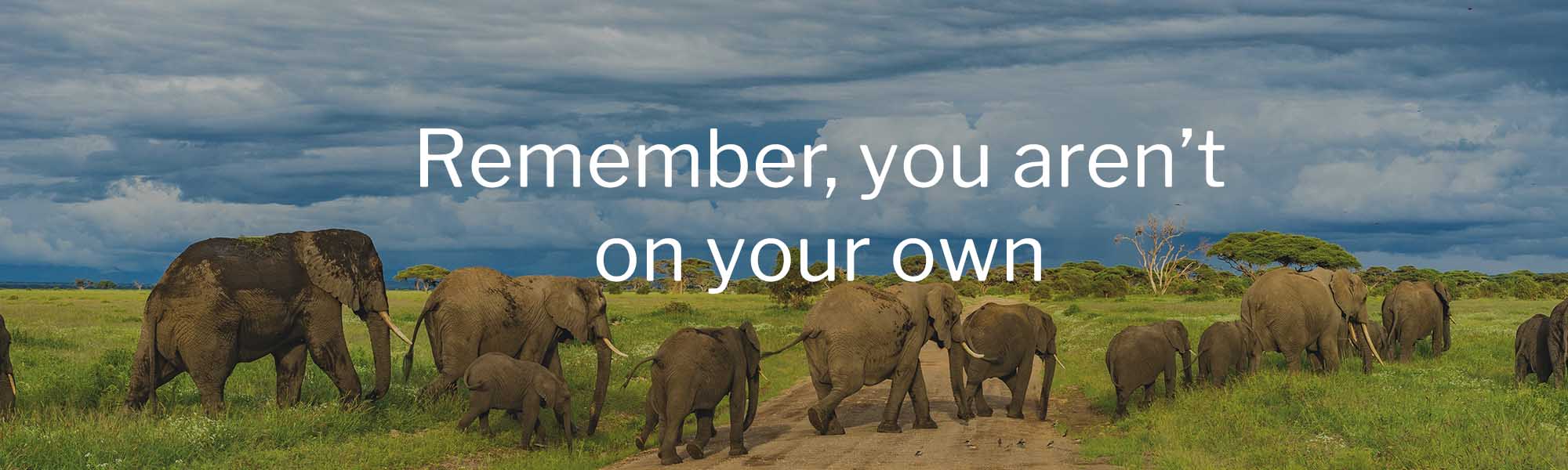 Tourism industry support