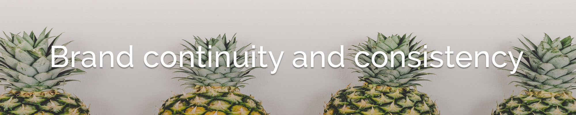 brand continuity tour operator