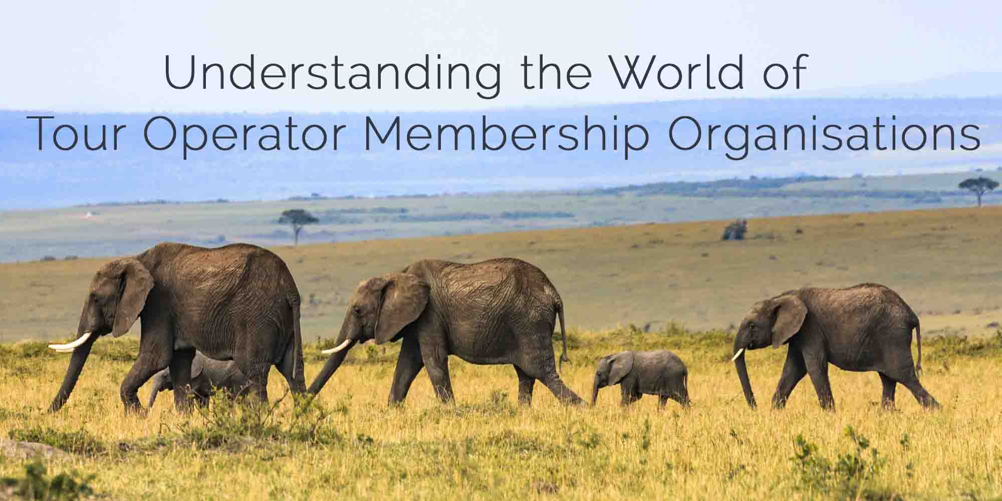 Which Travel Association Should I Join?