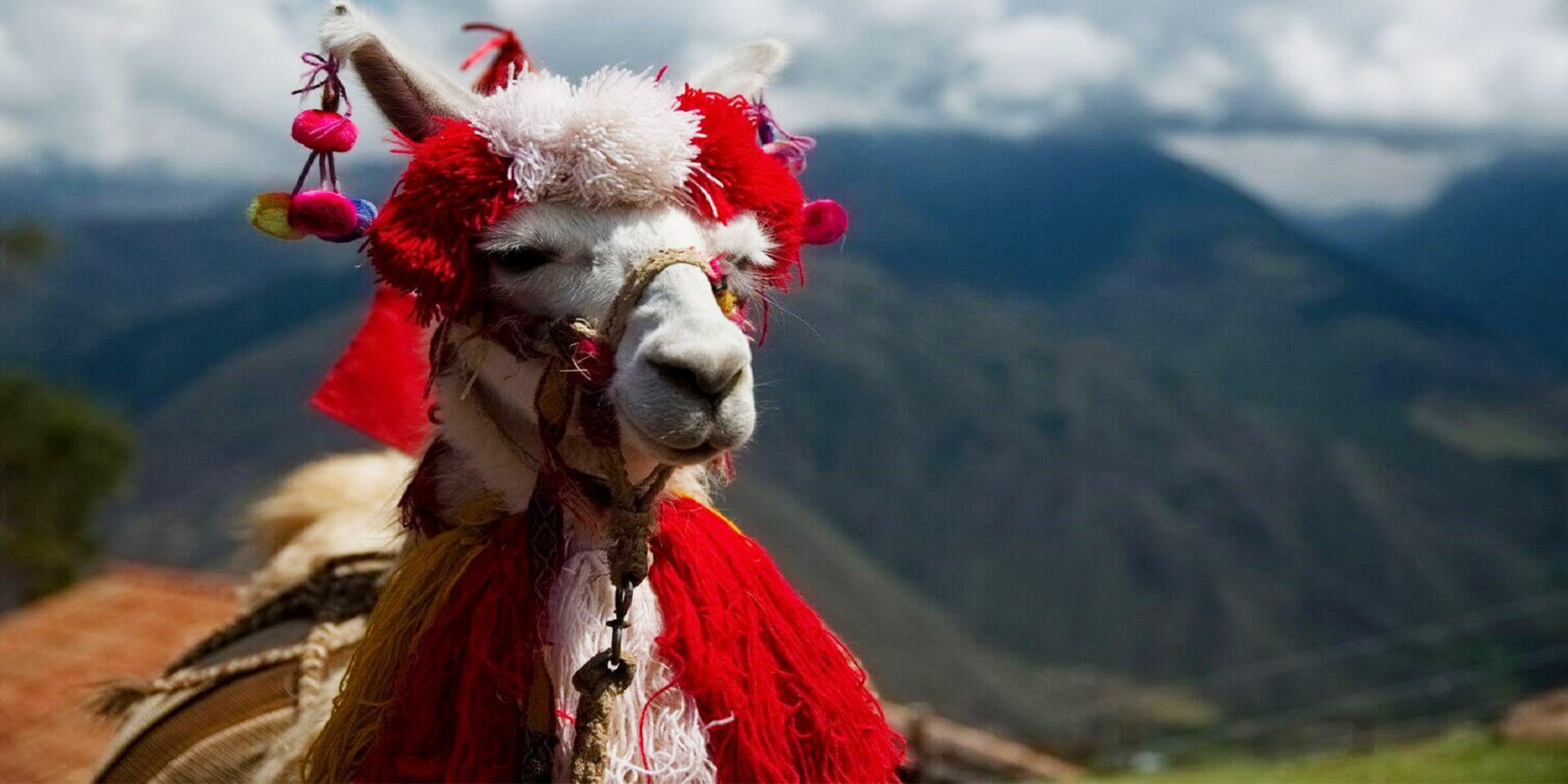 South American tour operator software