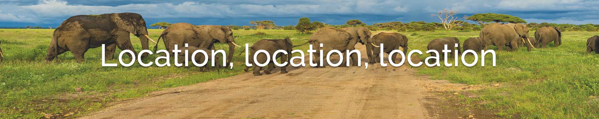future africa tourism