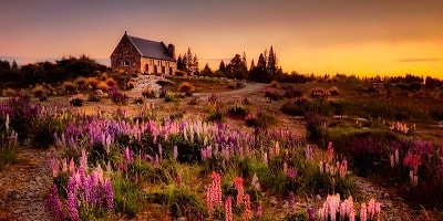 Hospitality Plus NZ