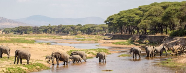 Africa tour operator