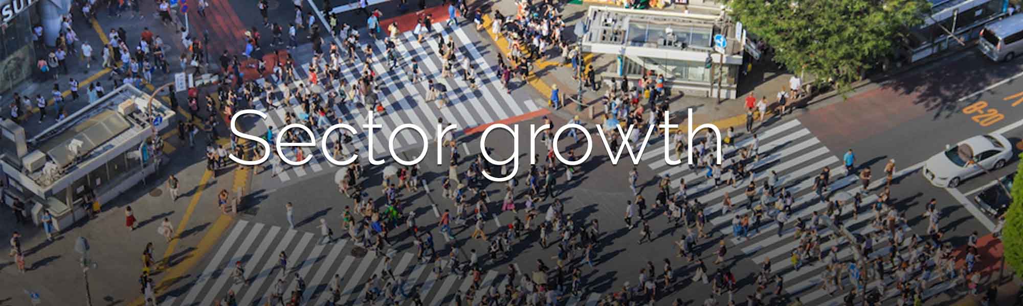 tourism sector growth