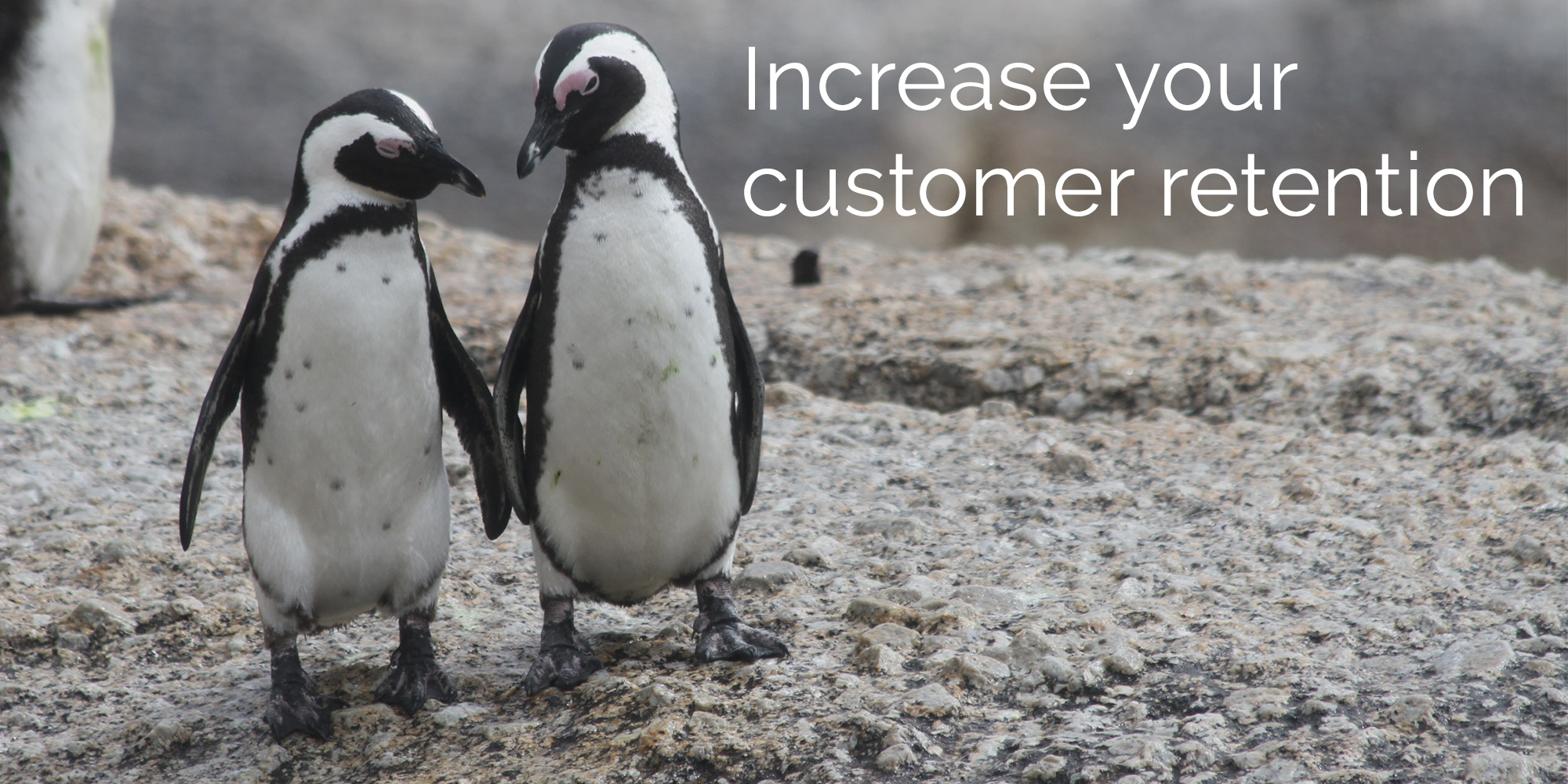 tour operator software customer retention